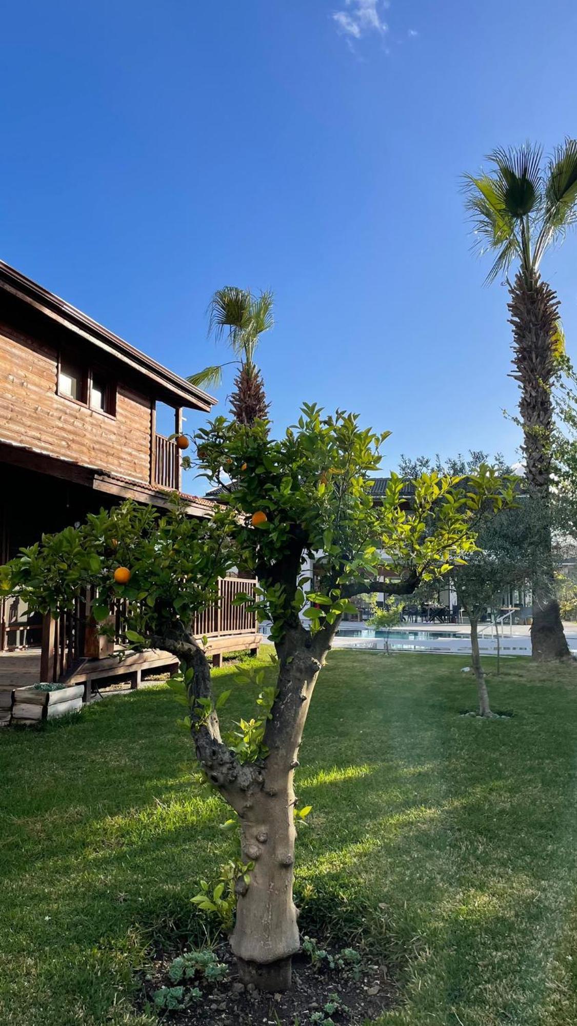 Defne Pansiyon - Koca Calis Vila Fethiye Exterior foto