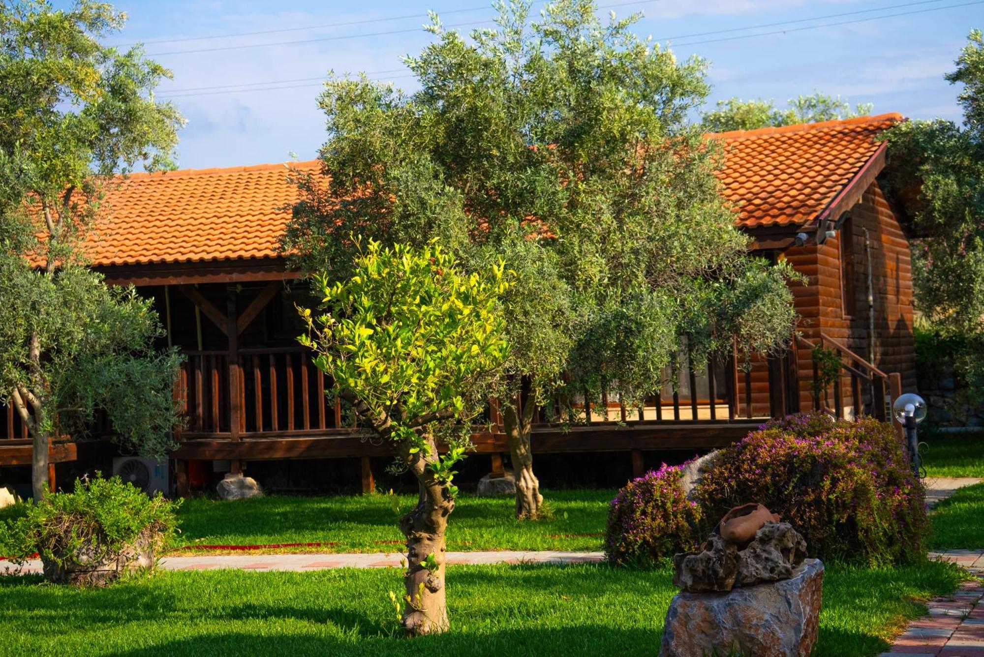 Defne Olive Gardens, Koca Calis, Fethiye - Previously Defne Pansiyon Exterior foto